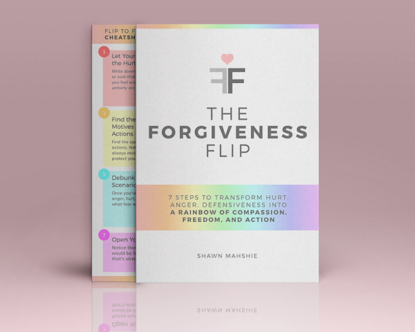 The forgiveness flip by shawn mahshie